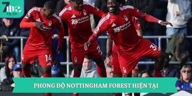 Phong độ Nottingham Forest hiện tại